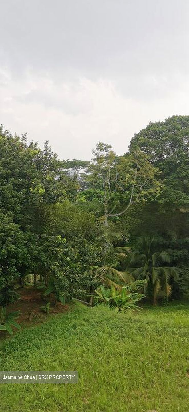 Jalan Kakatua (D21), Detached #456532141